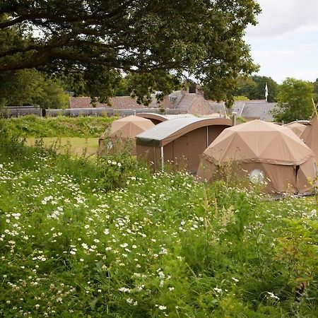 Durrell Wildlife Camp Hotell Trinity Rum bild