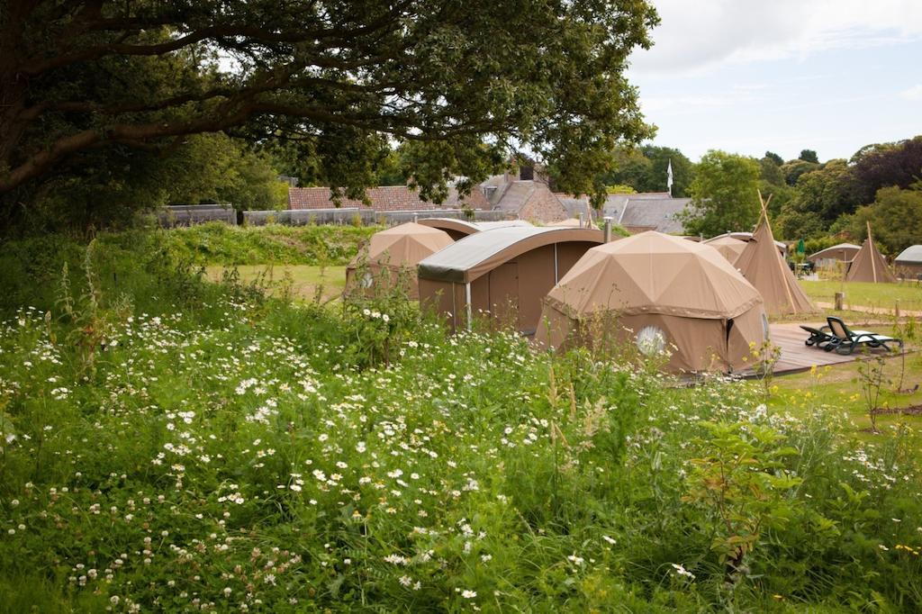 Durrell Wildlife Camp Hotell Trinity Rum bild
