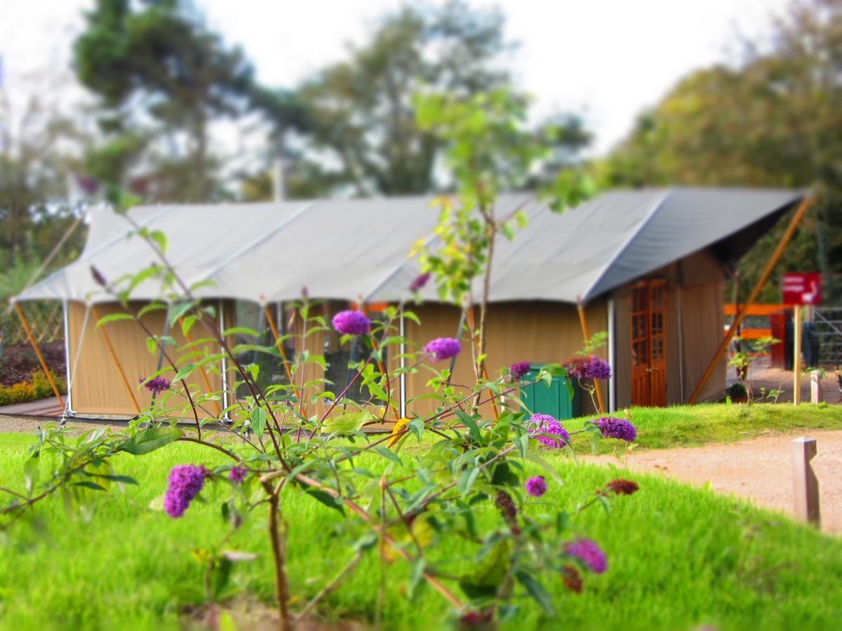Durrell Wildlife Camp Hotell Trinity Exteriör bild